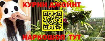 индика Заволжье