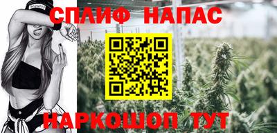 индика Заволжье