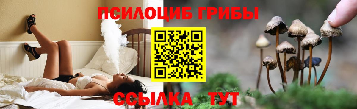 Галлюциногенные грибы Psilocybine cubensis Новокуйбышевск